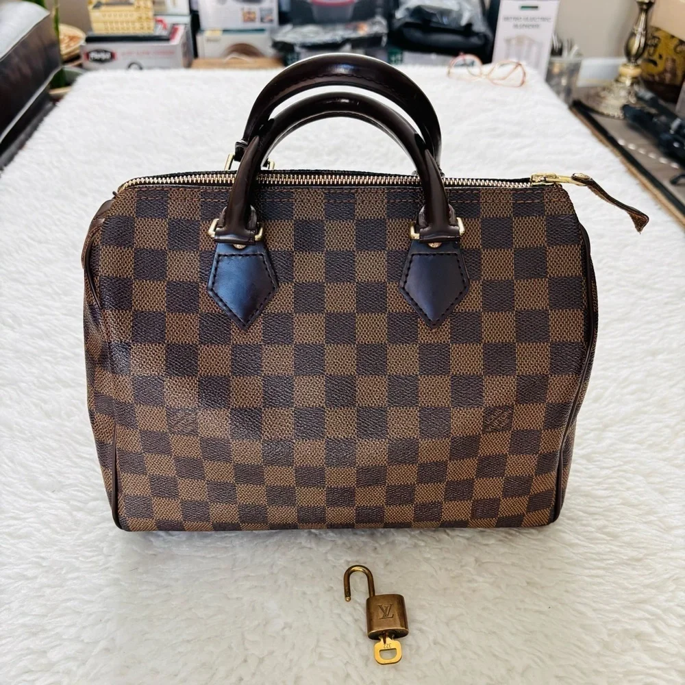 Louis Vuitton Damier Ebene Speedy 25 Bag